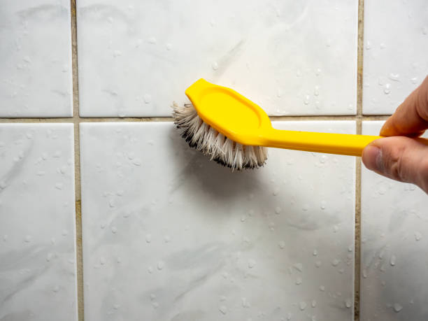 Professional Mold Remediation in Gloucester Point, VA