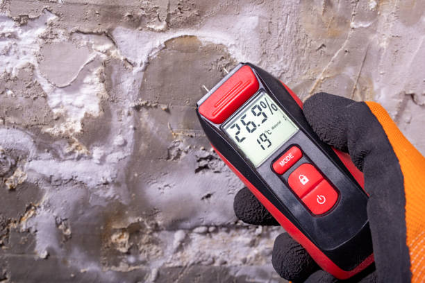 Best Attic Mold Remediation in Gloucester Point, VA