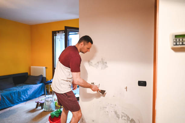 Best DIY Mold Remediation Support Services in Gloucester Point, VA